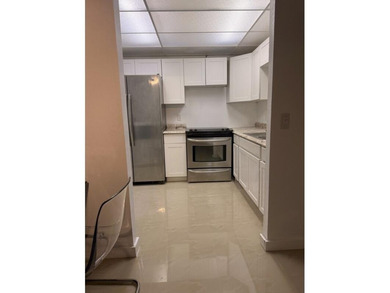 Enjoy tranquil lakeview living in this beautifully updated on Kings Point Golf - Executive in Florida - for sale on GolfHomes.com, golf home, golf lot