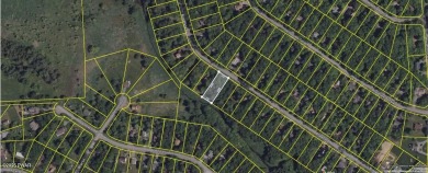 Build your dream home on this level,  wooded lot in The Hideout on The Hideout Golf in Pennsylvania - for sale on GolfHomes.com, golf home, golf lot