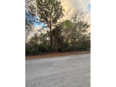 Build your dream home on this .29-acre homesite located in the on Sugarmill Woods Golf and Country Club in Florida - for sale on GolfHomes.com, golf home, golf lot