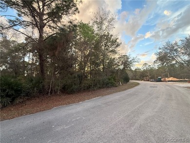 Build your dream home on this .29-acre homesite located in the on Sugarmill Woods Golf and Country Club in Florida - for sale on GolfHomes.com, golf home, golf lot
