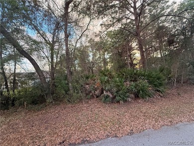 Build your dream home on this .29-acre homesite located in the on Sugarmill Woods Golf and Country Club in Florida - for sale on GolfHomes.com, golf home, golf lot