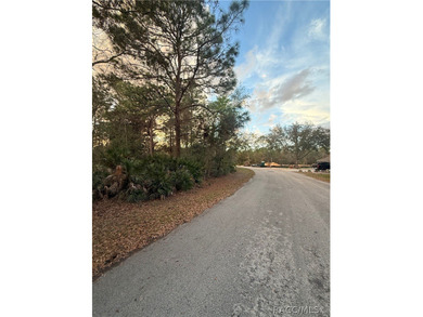 Build your dream home on this .29-acre homesite located in the on Sugarmill Woods Golf and Country Club in Florida - for sale on GolfHomes.com, golf home, golf lot