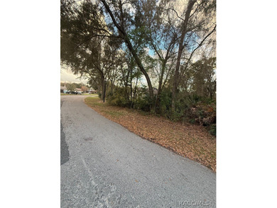 Build your dream home on this .29-acre homesite located in the on Sugarmill Woods Golf and Country Club in Florida - for sale on GolfHomes.com, golf home, golf lot