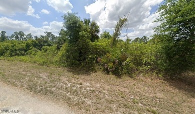 Build your dream home in the rapidly growing and highly on Mirror Lakes Golf Club in Florida - for sale on GolfHomes.com, golf home, golf lot