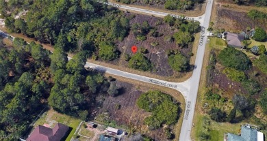 Build your dream home in the rapidly growing and highly on Mirror Lakes Golf Club in Florida - for sale on GolfHomes.com, golf home, golf lot
