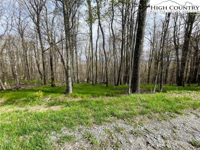 Great lying lot with view potential! 1/2 acre lot in a quiet on Beech Mountain Club in North Carolina - for sale on GolfHomes.com, golf home, golf lot