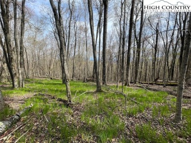 Great lying lot with view potential! 1/2 acre lot in a quiet on Beech Mountain Club in North Carolina - for sale on GolfHomes.com, golf home, golf lot