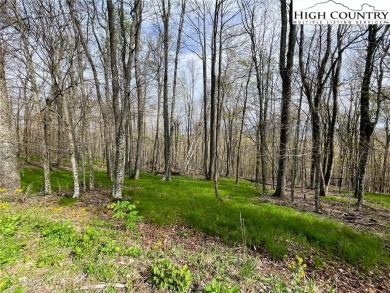 Great lying lot with view potential! 1/2 acre lot in a quiet on Beech Mountain Club in North Carolina - for sale on GolfHomes.com, golf home, golf lot