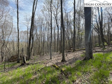 Great lying lot with view potential! 1/2 acre lot in a quiet on Beech Mountain Club in North Carolina - for sale on GolfHomes.com, golf home, golf lot