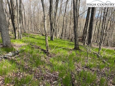Great lying lot with view potential! 1/2 acre lot in a quiet on Beech Mountain Club in North Carolina - for sale on GolfHomes.com, golf home, golf lot