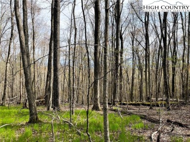 Great lying lot with view potential! 1/2 acre lot in a quiet on Beech Mountain Club in North Carolina - for sale on GolfHomes.com, golf home, golf lot