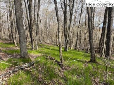 Great lying lot with view potential! 1/2 acre lot in a quiet on Beech Mountain Club in North Carolina - for sale on GolfHomes.com, golf home, golf lot