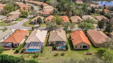 Dream of a beautiful Carefree Home with a custom Saltwater on Skyview At Terra Vista Golf and Country Club in Florida - for sale on GolfHomes.com, golf home, golf lot