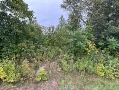 1.77 acre wooded lot on 5th hole of Frederic WI golf course. All on Frederic Country Club Inc. in Wisconsin - for sale on GolfHomes.com, golf home, golf lot