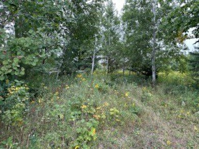 1.77 acre wooded lot on 5th hole of Frederic WI golf course. All on Frederic Country Club Inc. in Wisconsin - for sale on GolfHomes.com, golf home, golf lot