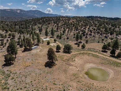 Once in a lifetime opportunity to purchase EAGLE RIDGE, the most on Big Bear Mountain Ski and Golf Resort in California - for sale on GolfHomes.com, golf home, golf lot