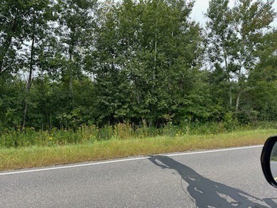 1.77 acre wooded lot on 5th hole of Frederic WI golf course. All on Frederic Country Club Inc. in Wisconsin - for sale on GolfHomes.com, golf home, golf lot