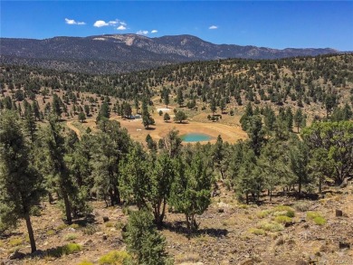 Once in a lifetime opportunity to purchase EAGLE RIDGE, the most on Big Bear Mountain Ski and Golf Resort in California - for sale on GolfHomes.com, golf home, golf lot