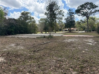 Build-Ready Double Lot in Sugarmill Woods - Priced to Sell! on Sugarmill Woods Golf and Country Club in Florida - for sale on GolfHomes.com, golf home, golf lot