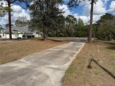 Build-Ready Double Lot in Sugarmill Woods - Priced to Sell! on Sugarmill Woods Golf and Country Club in Florida - for sale on GolfHomes.com, golf home, golf lot