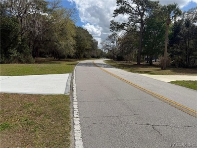 Build-Ready Double Lot in Sugarmill Woods - Priced to Sell! on Sugarmill Woods Golf and Country Club in Florida - for sale on GolfHomes.com, golf home, golf lot