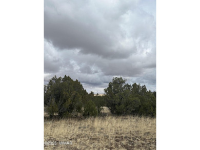 Beautiful 10 ACRES in the heart of White Mountain Lakes on Silver Creek Golf Club in Arizona - for sale on GolfHomes.com, golf home, golf lot