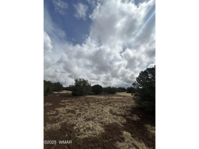 Beautiful 10 ACRES in the heart of White Mountain Lakes on Silver Creek Golf Club in Arizona - for sale on GolfHomes.com, golf home, golf lot