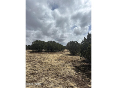 Beautiful 10 ACRES in the heart of White Mountain Lakes on Silver Creek Golf Club in Arizona - for sale on GolfHomes.com, golf home, golf lot