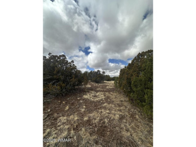 Beautiful 10 ACRES in the heart of White Mountain Lakes on Silver Creek Golf Club in Arizona - for sale on GolfHomes.com, golf home, golf lot