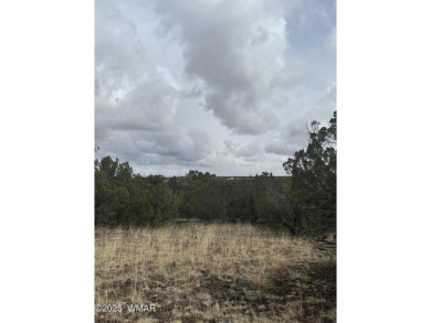 Beautiful 10 ACRES in the heart of White Mountain Lakes on Silver Creek Golf Club in Arizona - for sale on GolfHomes.com, golf home, golf lot