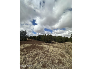 Beautiful 10 ACRES in the heart of White Mountain Lakes on Silver Creek Golf Club in Arizona - for sale on GolfHomes.com, golf home, golf lot