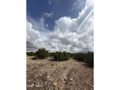 Beautiful 10 ACRES in the heart of White Mountain Lakes on Silver Creek Golf Club in Arizona - for sale on GolfHomes.com, golf home, golf lot