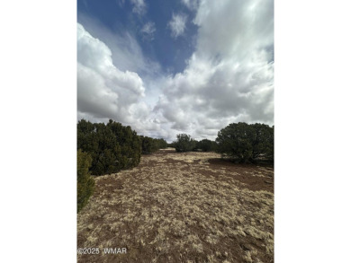 Beautiful 10 ACRES in the heart of White Mountain Lakes on Silver Creek Golf Club in Arizona - for sale on GolfHomes.com, golf home, golf lot