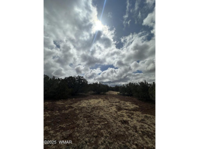 Beautiful 10 ACRES in the heart of White Mountain Lakes on Silver Creek Golf Club in Arizona - for sale on GolfHomes.com, golf home, golf lot