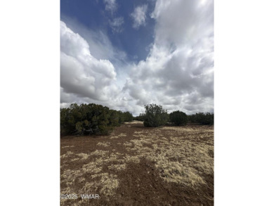 Beautiful 10 ACRES in the heart of White Mountain Lakes on Silver Creek Golf Club in Arizona - for sale on GolfHomes.com, golf home, golf lot