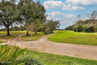 Halifax Plantation Craftsman Style home! This 3/2 plus office on Halifax Plantation Golf Club in Florida - for sale on GolfHomes.com, golf home, golf lot