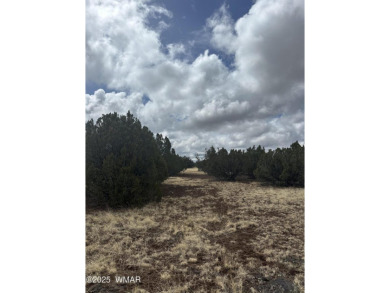 Beautiful 10 ACRES in the heart of White Mountain Lakes on Silver Creek Golf Club in Arizona - for sale on GolfHomes.com, golf home, golf lot