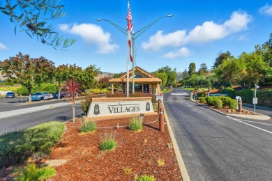 Golf course view property for sale at the prestigious Villages on Villages Golf and Country Club in California - for sale on GolfHomes.com, golf home, golf lot