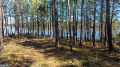 Rare Reynolds Lake Oconee point lot with new dock on the on Reynolds Lake Oconee - The Oconee in Georgia - for sale on GolfHomes.com, golf home, golf lot