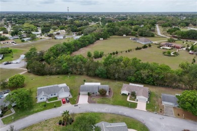PRICE ADJUSTMENT ON THIS RETIREMENT DREAM in this 55+ community on The Links of Spruce Creek in Florida - for sale on GolfHomes.com, golf home, golf lot