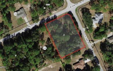 Build Your Dream Home in Pine Ridge Estates - Florida's Nature on Pine Ridge Community Golf and Country Club in Florida - for sale on GolfHomes.com, golf home, golf lot