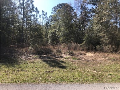 Build Your Dream Home in Pine Ridge Estates - Florida's Nature on Pine Ridge Community Golf and Country Club in Florida - for sale on GolfHomes.com, golf home, golf lot