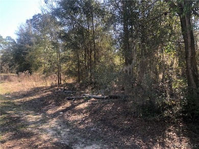 Build Your Dream Home in Pine Ridge Estates - Florida's Nature on Pine Ridge Community Golf and Country Club in Florida - for sale on GolfHomes.com, golf home, golf lot