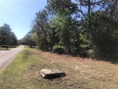 Build Your Dream Home in Pine Ridge Estates - Florida's Nature on Pine Ridge Community Golf and Country Club in Florida - for sale on GolfHomes.com, golf home, golf lot