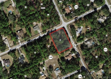 Build Your Dream Home in Pine Ridge Estates - Florida's Nature on Pine Ridge Community Golf and Country Club in Florida - for sale on GolfHomes.com, golf home, golf lot