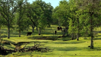 44.2 acres of untapped potential. Bucolic setting near premier on The Golf Club Tierra Oaks in California - for sale on GolfHomes.com, golf home, golf lot