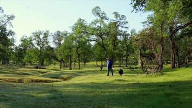 44.2 acres of untapped potential. Bucolic setting near premier on The Golf Club Tierra Oaks in California - for sale on GolfHomes.com, golf home, golf lot