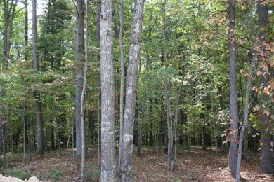 HUGE PRICE REDUCTION!! TAKE A LOOK!! Lots 30, 31 and 32, total on Pipestem Golf Club - Regulation in West Virginia - for sale on GolfHomes.com, golf home, golf lot