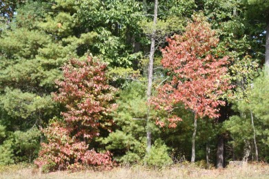 HUGE PRICE REDUCTION!! TAKE A LOOK!! Lots 30, 31 and 32, total on Pipestem Golf Club - Regulation in West Virginia - for sale on GolfHomes.com, golf home, golf lot
