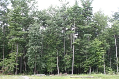 HUGE PRICE REDUCTION!! TAKE A LOOK!! Lots 30, 31 and 32, total on Pipestem Golf Club - Regulation in West Virginia - for sale on GolfHomes.com, golf home, golf lot